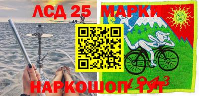 спиды Бердск