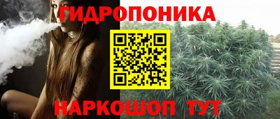 спиды Бердск