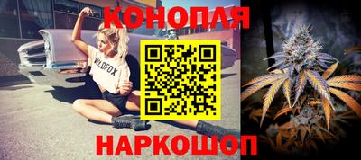 спиды Бердск