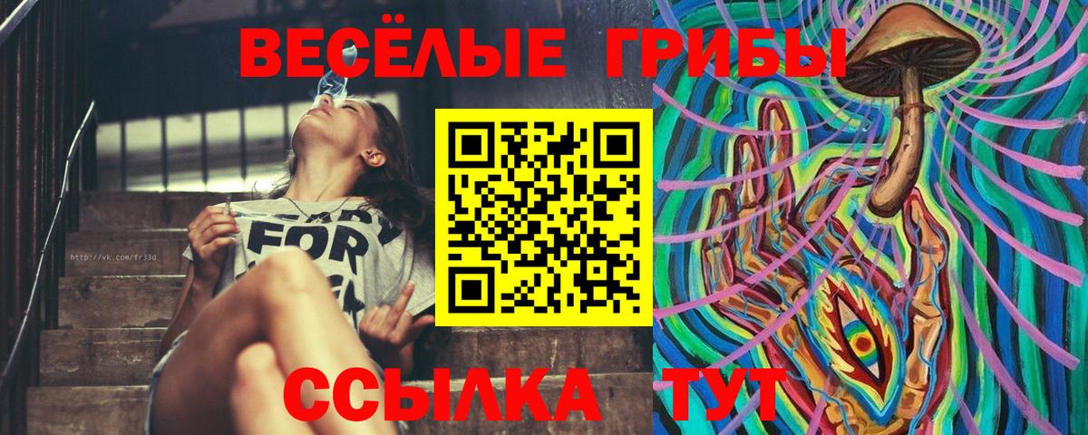 купить закладку  Псилоцибиновые грибы прущие грибы  Вход с VPN  Орск 